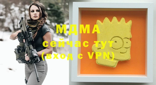 шишки Аркадак