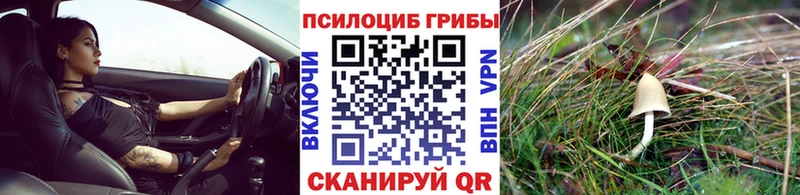 купить закладку  Белоярский  Псилоцибиновые грибы Cubensis 